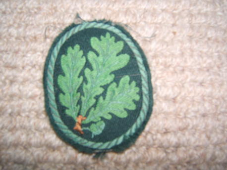 Jager  Arm  Badge