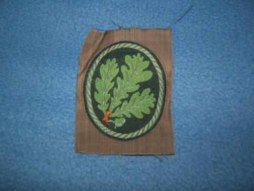 Jager Arm Badge